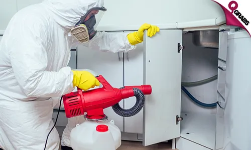 Professional Pest Control Services!